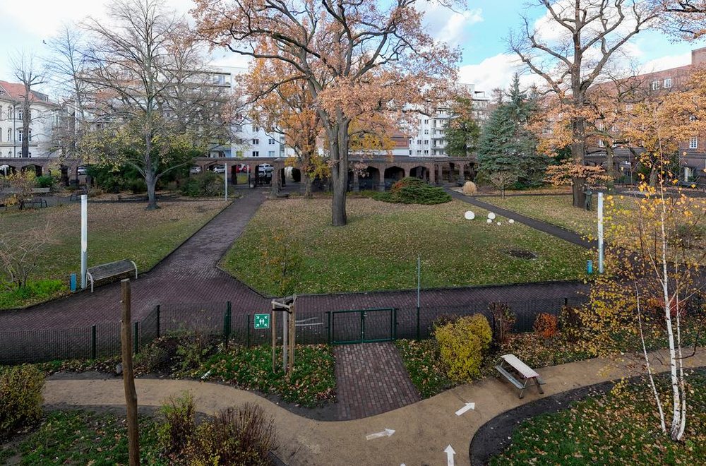 Innenhof mit altem Baum und Wegen der Kita Claras Abenteuerland in Dresden