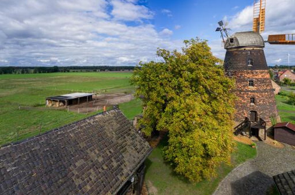 Windmühle und Hofgebäude der Event-Location Dörrwalder Mühle im Lausitzer Seenland